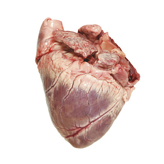 Сердце свиное зам